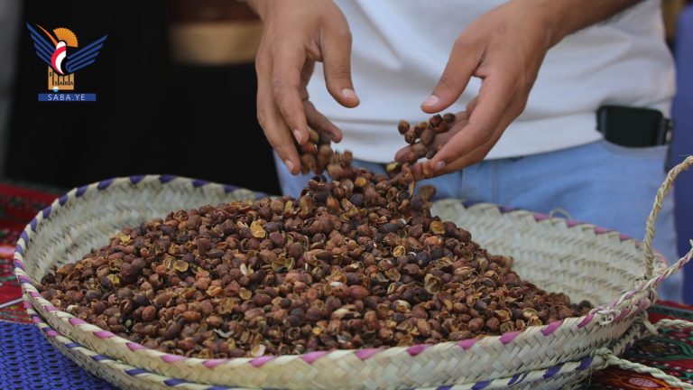 خبراء زراعيون: البن اليمني يحمل جينات تميّزه عن بقية الأنواع في العالم