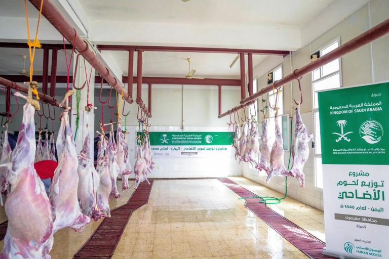 مركز الملك سلمان يدشن مشروع الاضاحي في أربع محافظات يمنية للعام 2025م